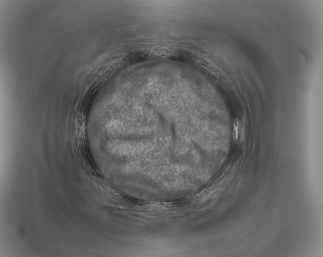 X0000112951251200909211147