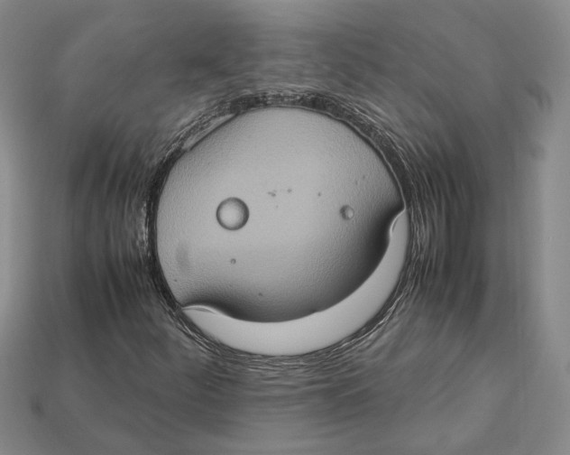 X0000112951252200909211147