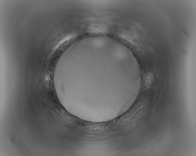 X0000112951254200909211147