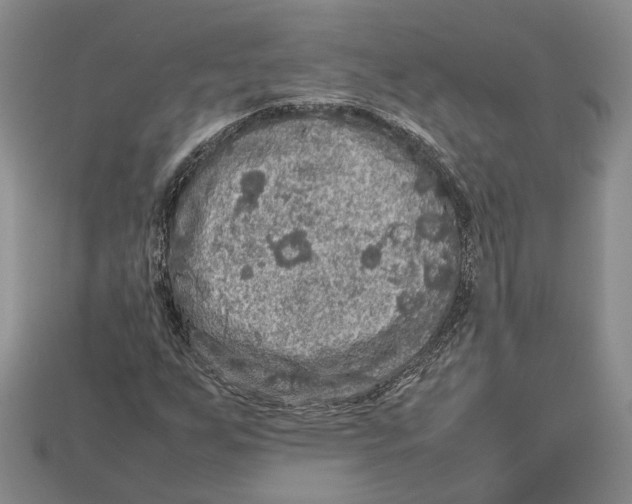 X0000112951255200909211147