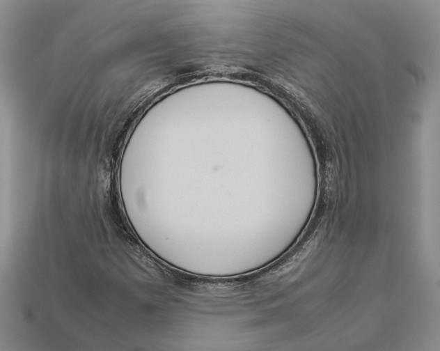 X0000112951257200909211147