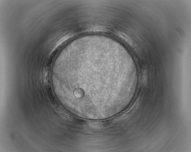 X0000112951258200909211147