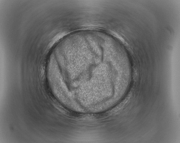 X0000112951259200909211147