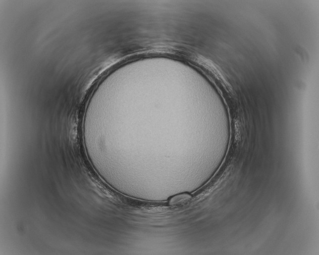 X0000112951260200909211147