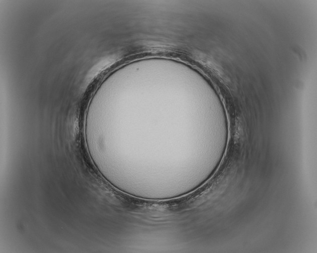 X0000112951261200909211147