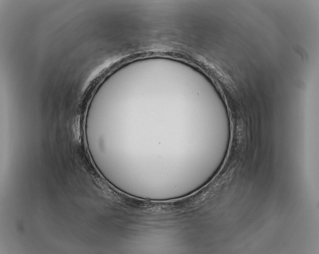 X0000112951262200909211147