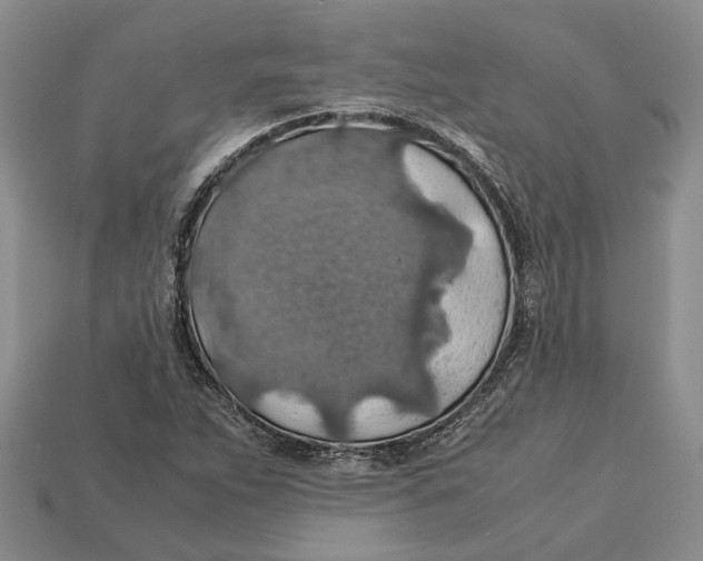 X0000112951263200909211147