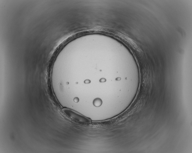 X0000112951264200909211147