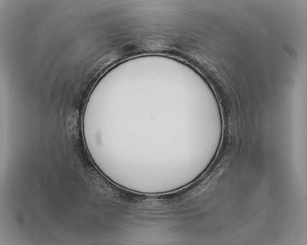 X0000112951265200909211147