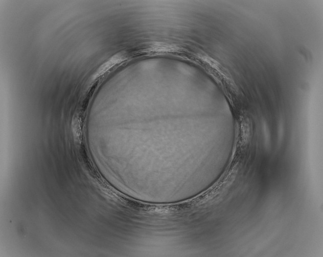 X0000112951266200909211147