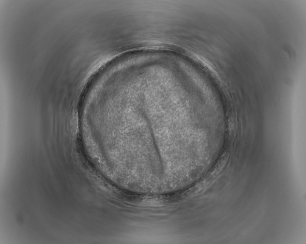 X0000112951267200909211147