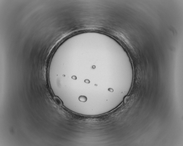 X0000112951268200909211147