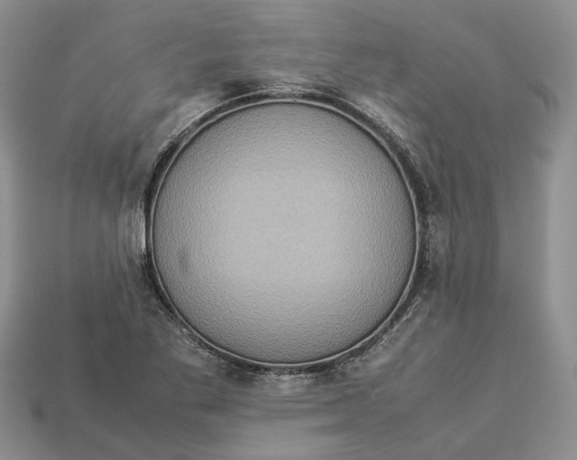 X0000112951269200909211147