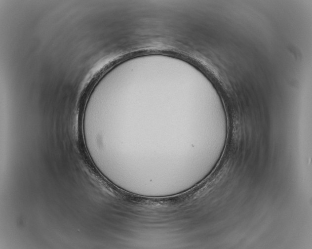 X0000112951270200909211147