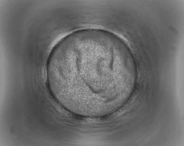 X0000112951271200909211147