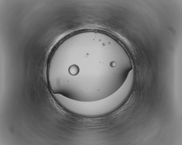 X0000112951272200909211147