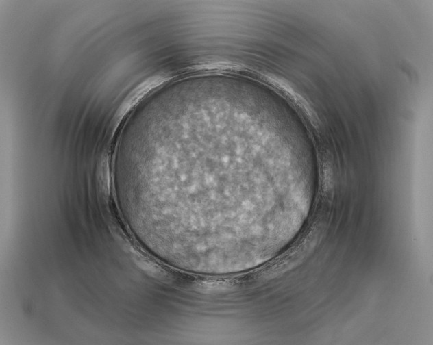 X0000112951274200909211147