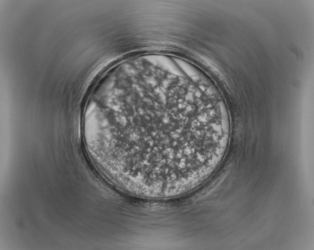 X0000112951275200909211147