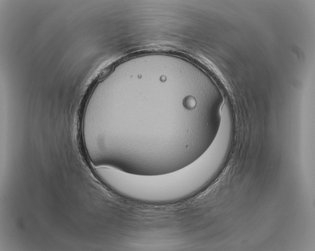 X0000112951277200909211147