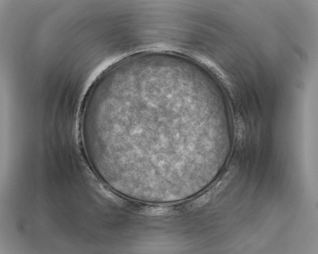 X0000112951278200909211147