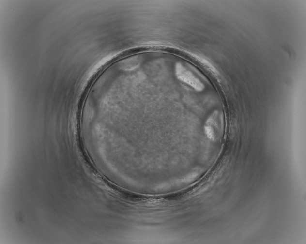 X0000112951279200909211147