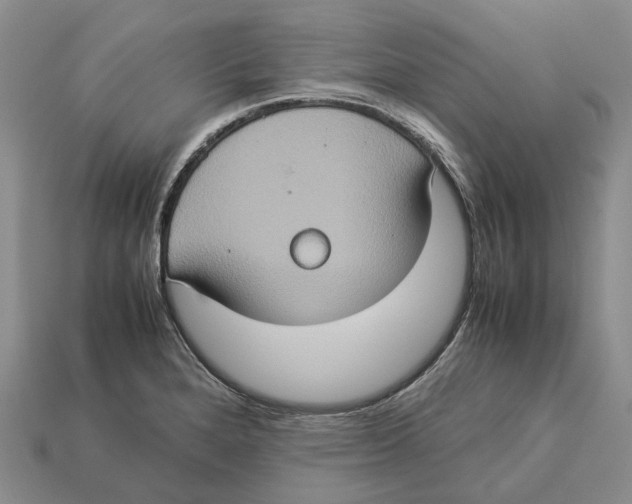 X0000112951280200909211147