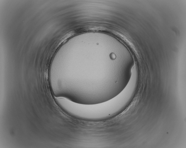 X0000112951281200909211147