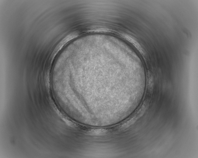 X0000112951282200909211147