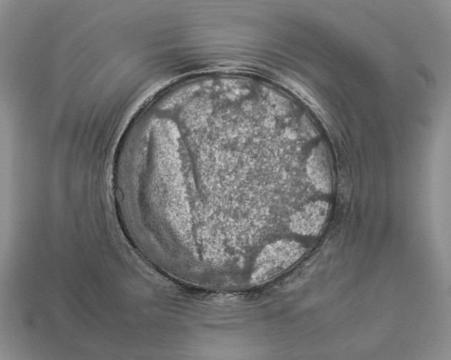 X0000112951283200909211146