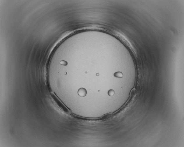 X0000112951284200909211146