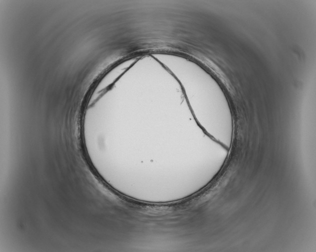 X0000112951285200909211146