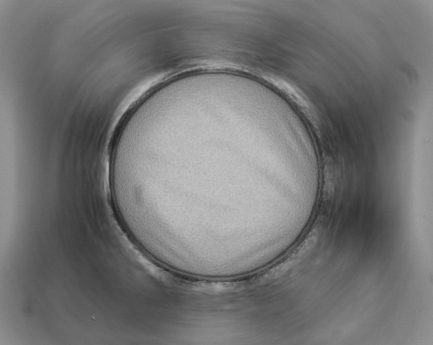 X0000112951286200909211146