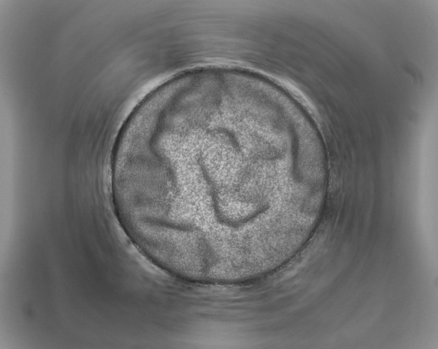 X0000112951287200909211146