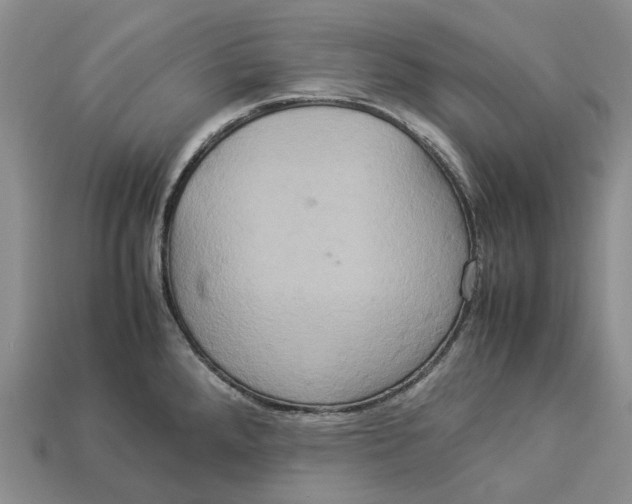 X0000112951288200909211146