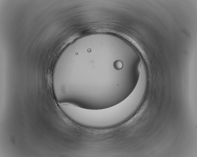 X0000112951289200909211146