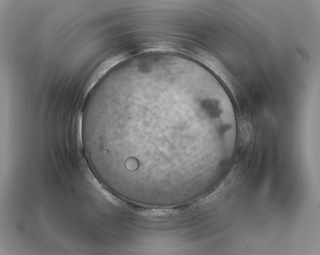 X0000112951290200909211146