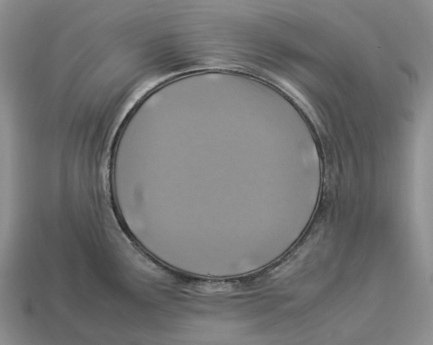 X0000112951291200909211146