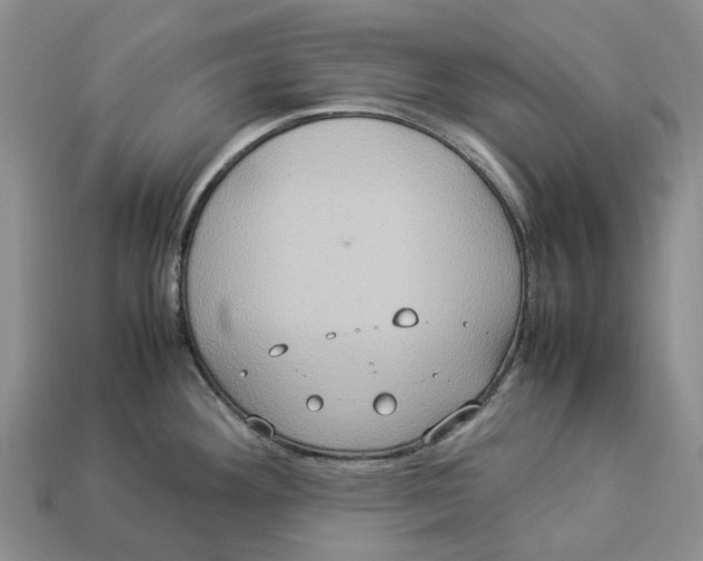 X0000112951292200909211146