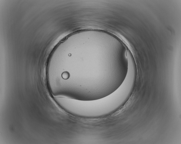 X0000112951293200909211146