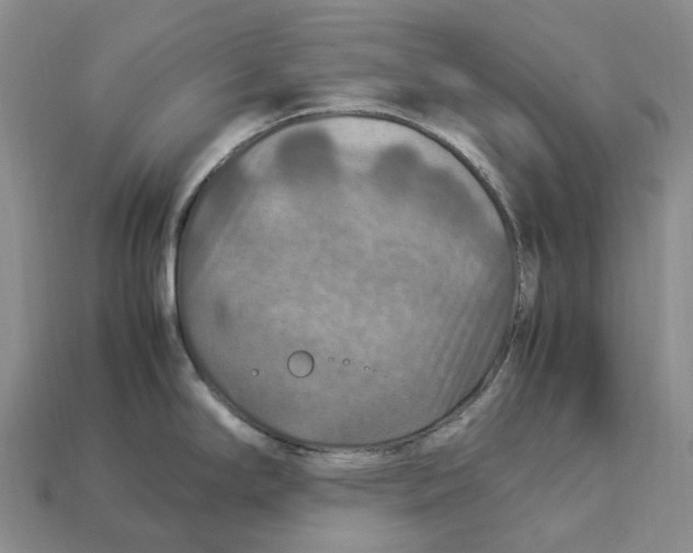 X0000112951294200909211146