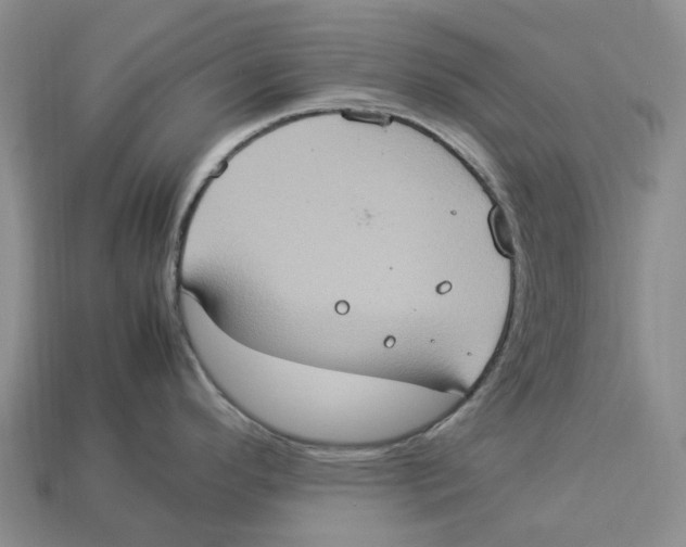 X0000112951296200909211146