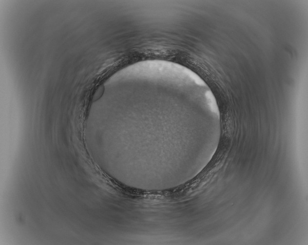 X0000112951297200909211146