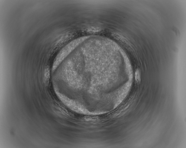 X0000112951299200909211146