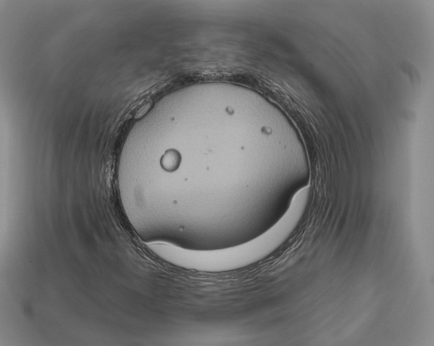 X0000112951300200909211146