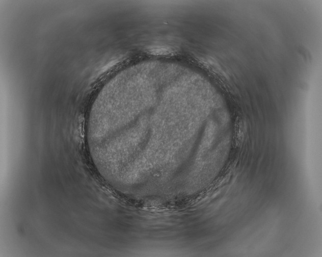 X0000112951301200909211146