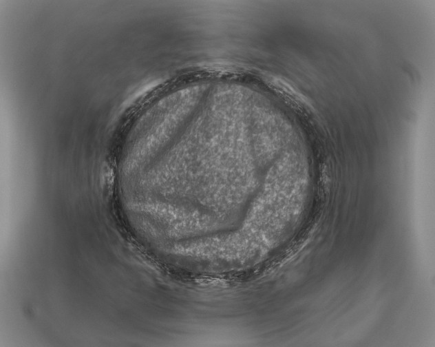 X0000112951302200909211146