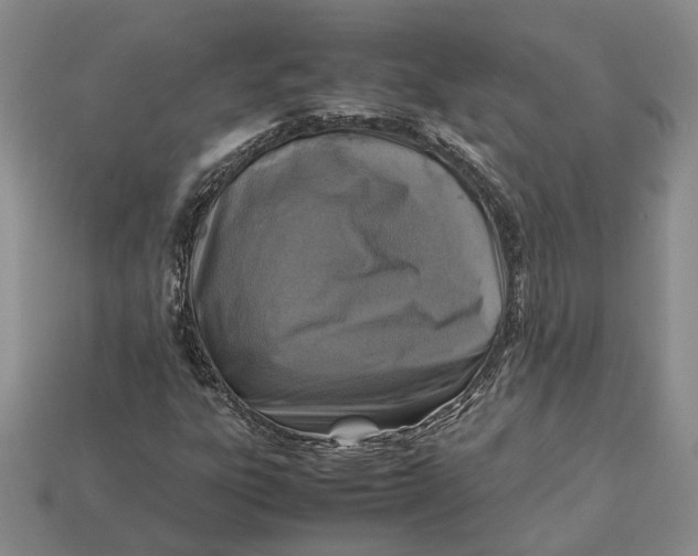 X0000112951303200909211146