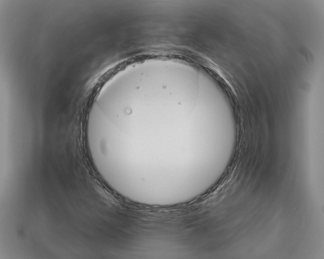 X0000112951304200909211146