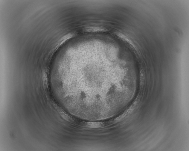 X0000112951305200909211146