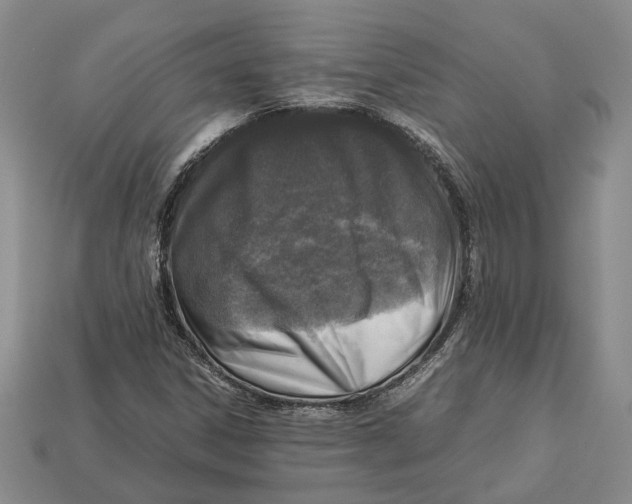 X0000112951306200909211146